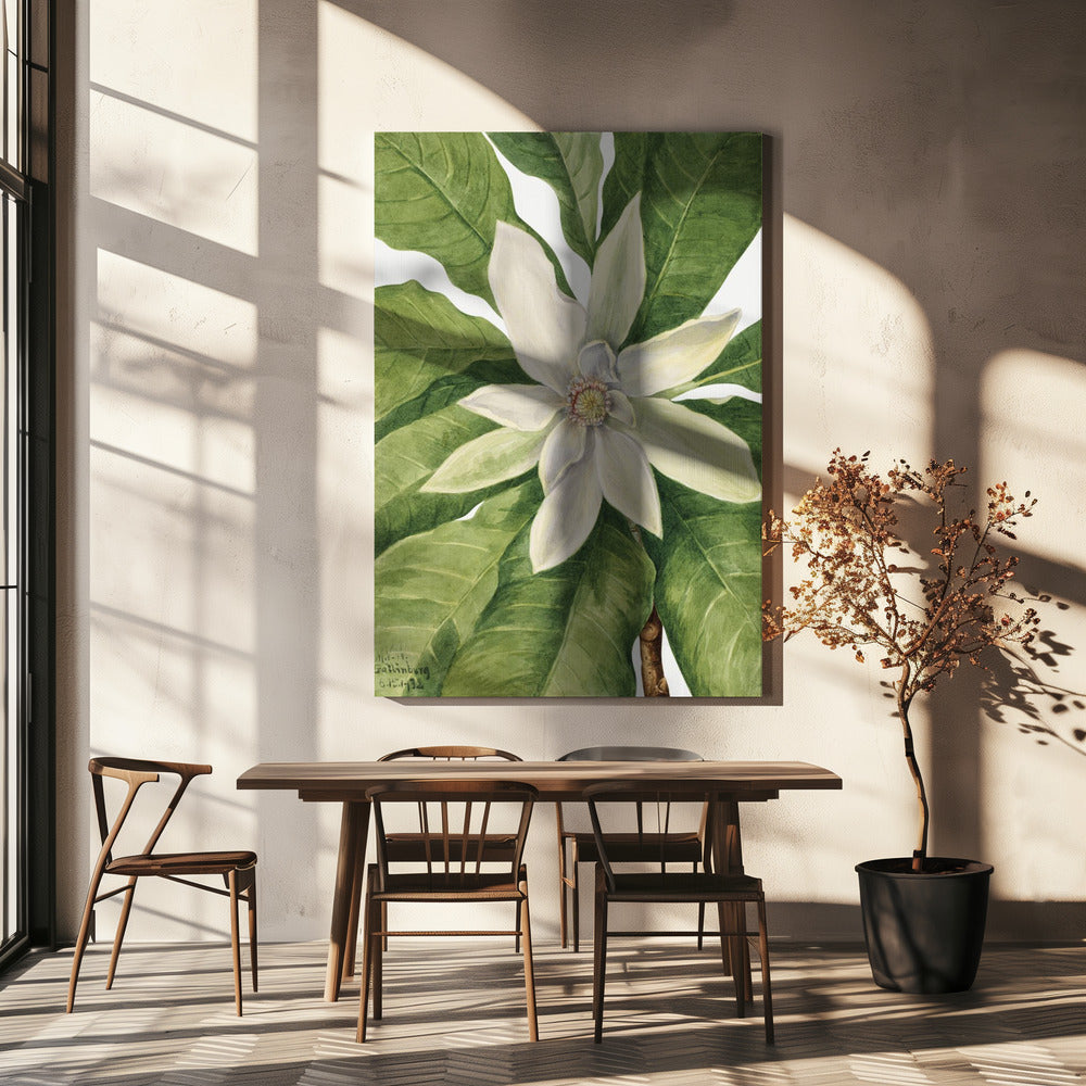 Parapluboom (1932) | Canvas