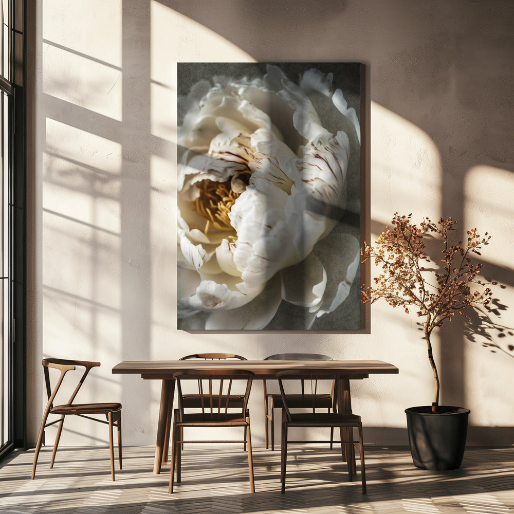 Bloemblaadjes van Sereniteit | Canvas