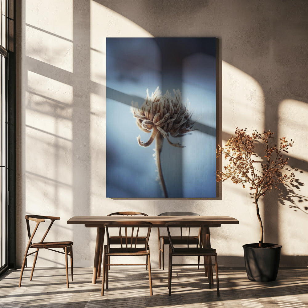 Bevroren bloesem | Canvas
