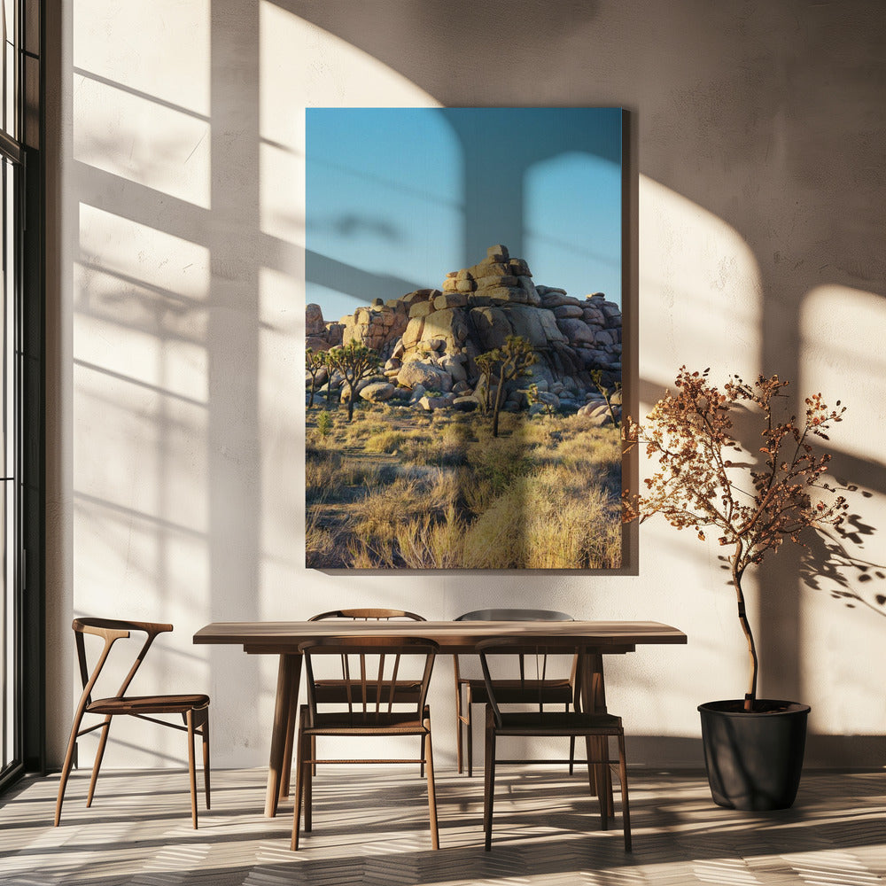 Joshua Tree Zonsondergang | Canvas