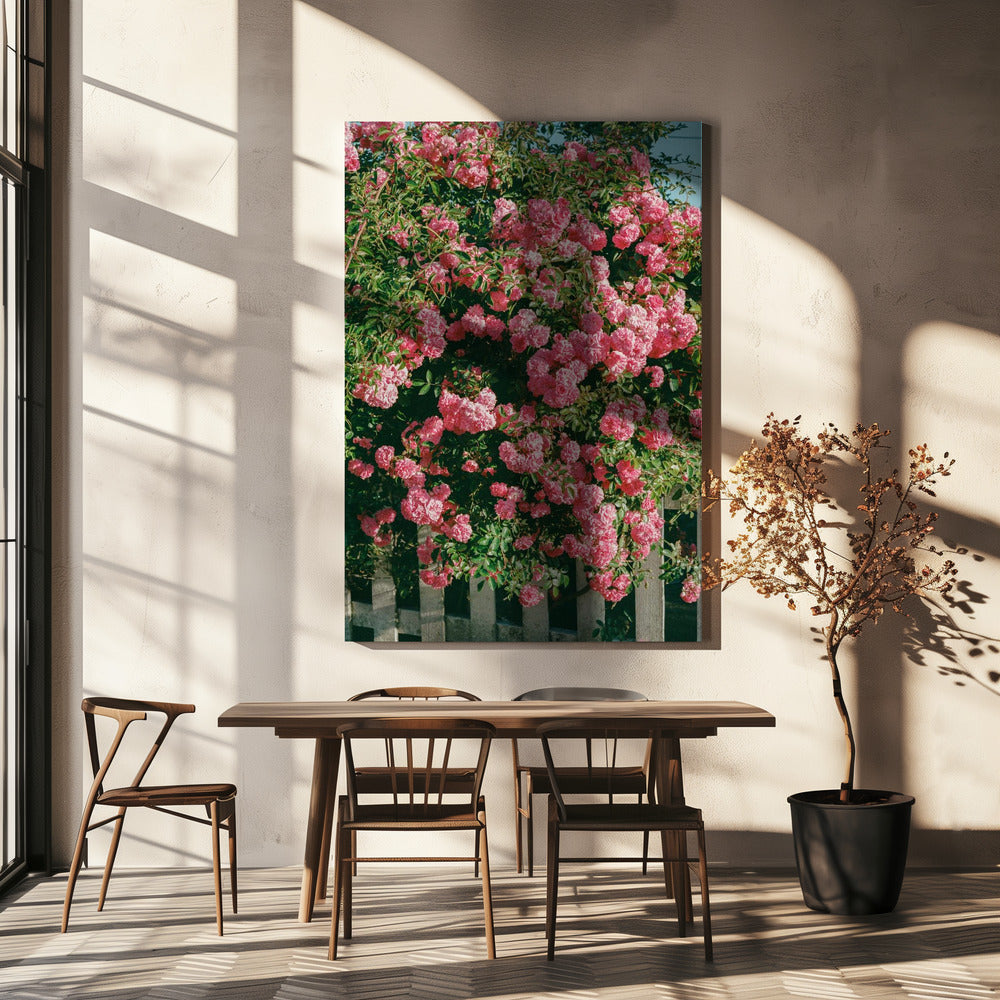 Cannon Beach Blooms | Canvas