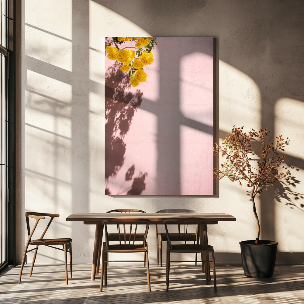 Geel en roze | Oaxaca Mexico | Canvas