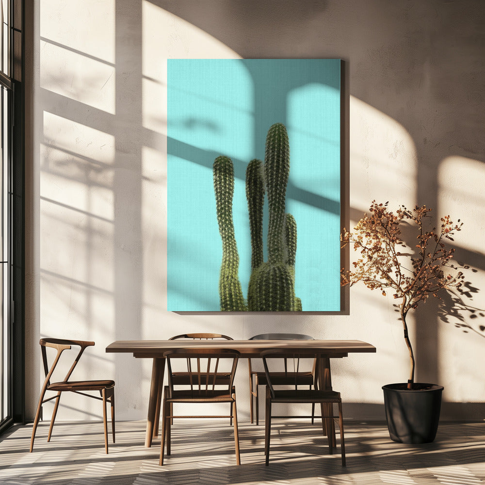 Turkooizen Cactus | Canvas