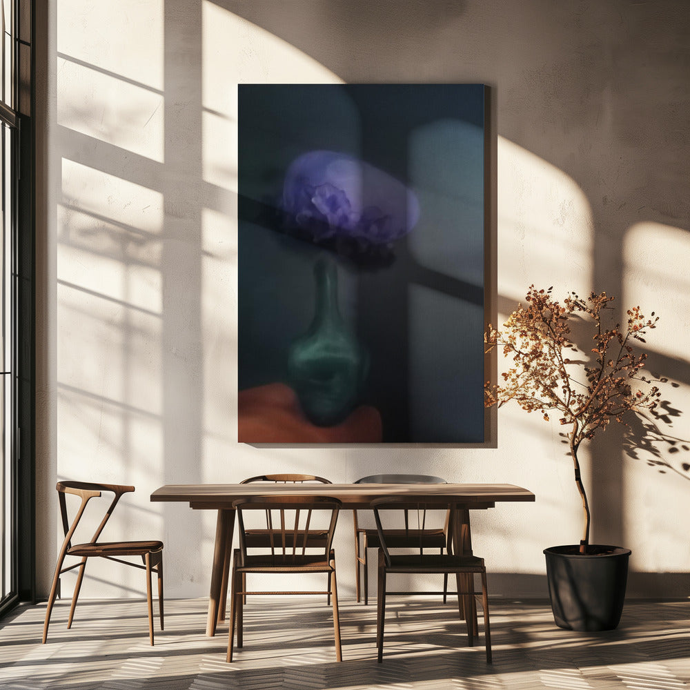 Bacivi | Canvas
