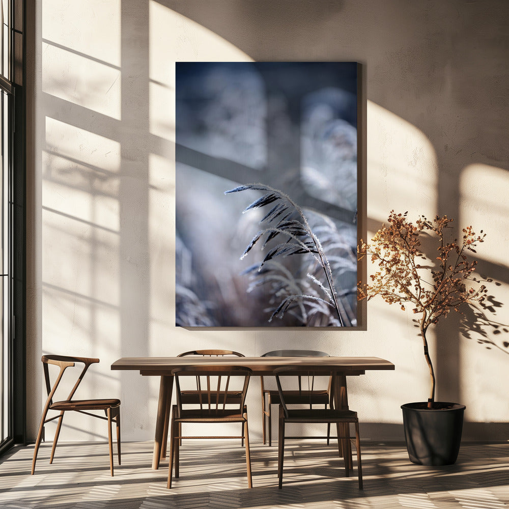 Vorstelijke ochtend 5 | Canvas