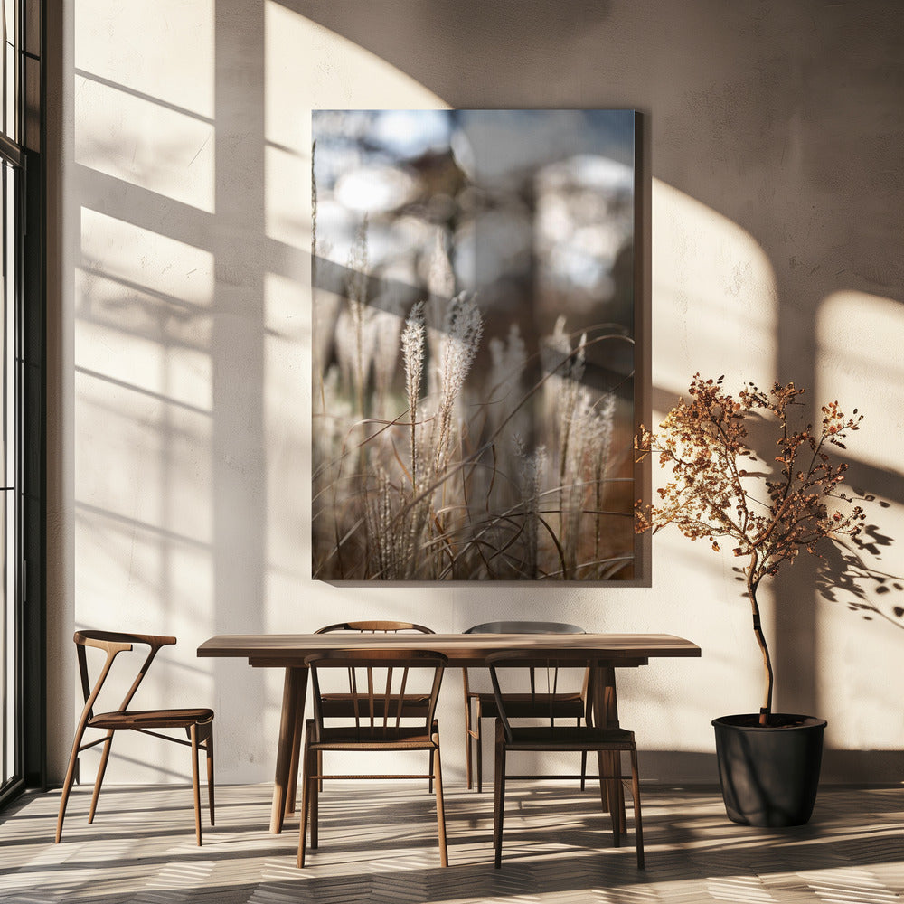 Gras 19 | Canvas