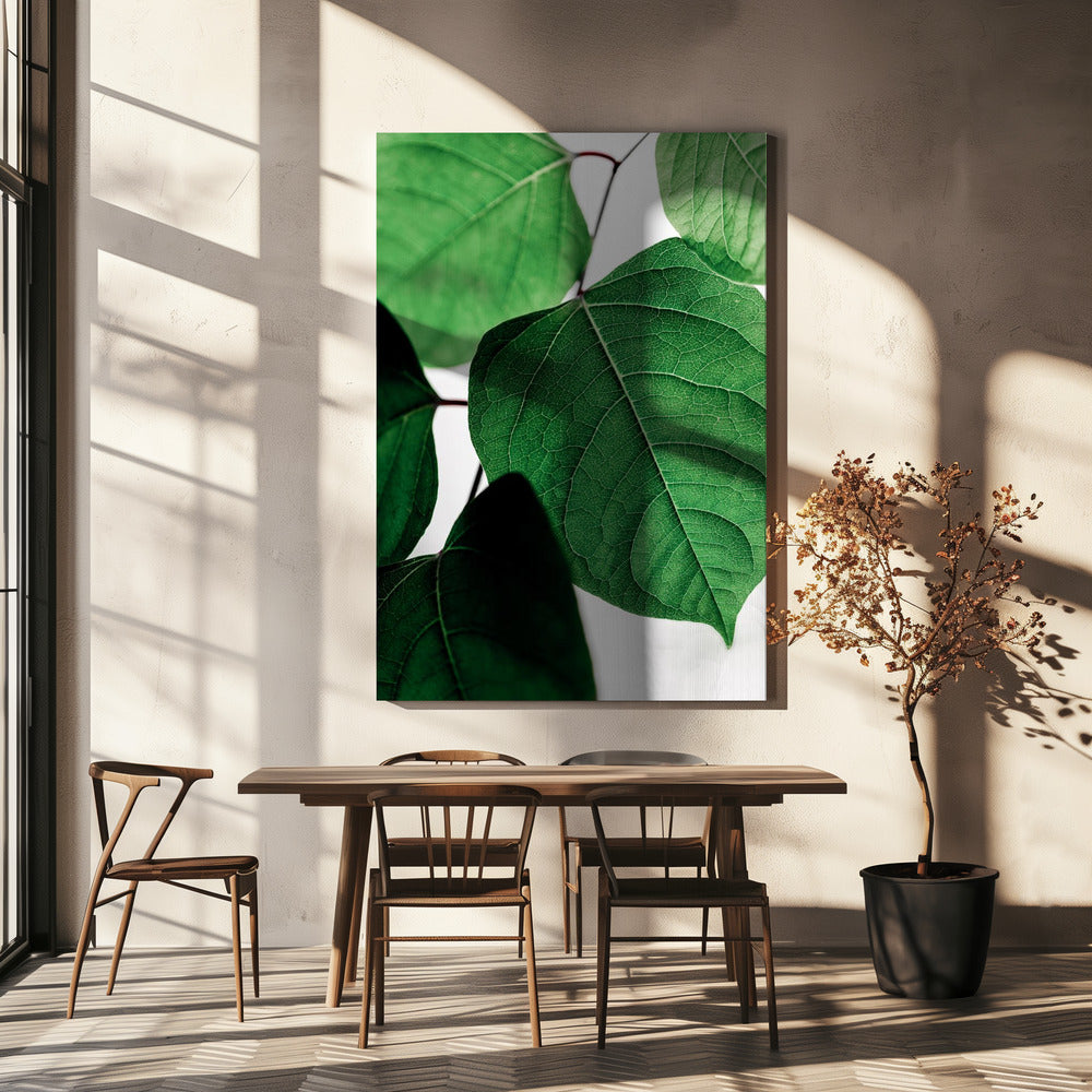 Zomertakken 2 | Canvas
