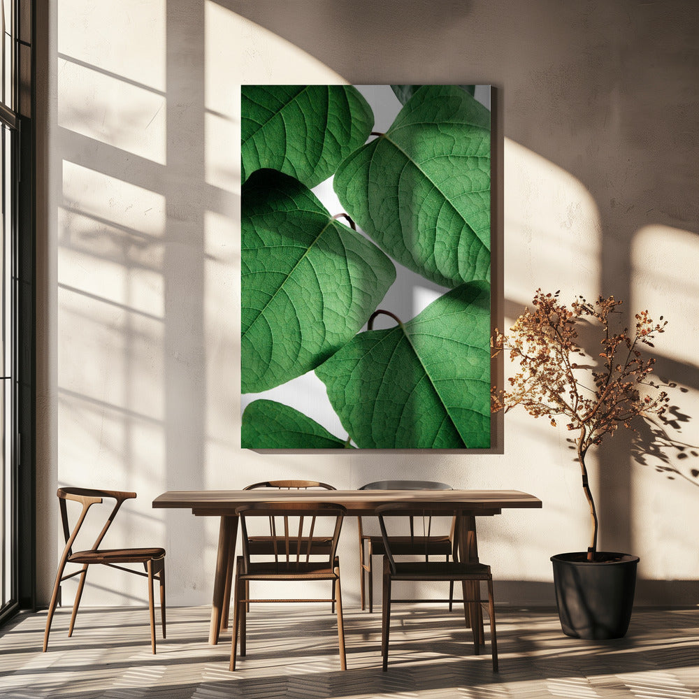 Zomertakken | Canvas