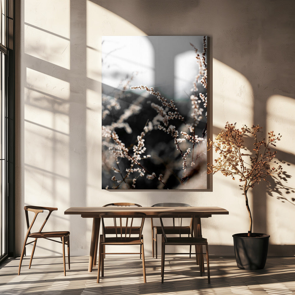 Onbekend 10 | Canvas