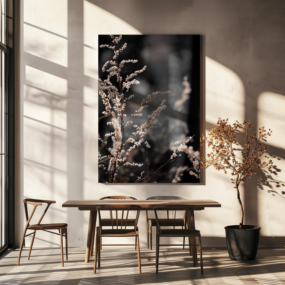 Onbekend 9 | Canvas