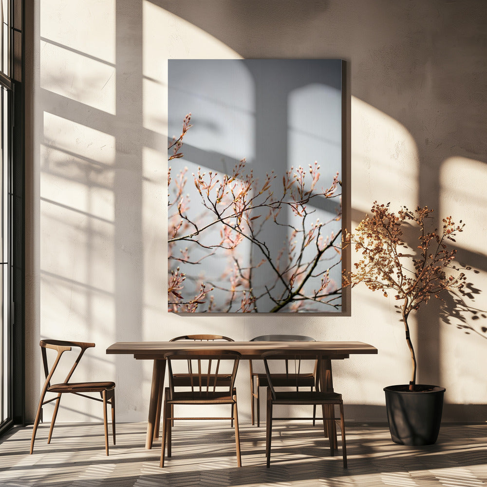 Onbekend 11 | Canvas