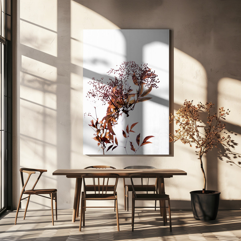 Onbekend 14 | Canvas