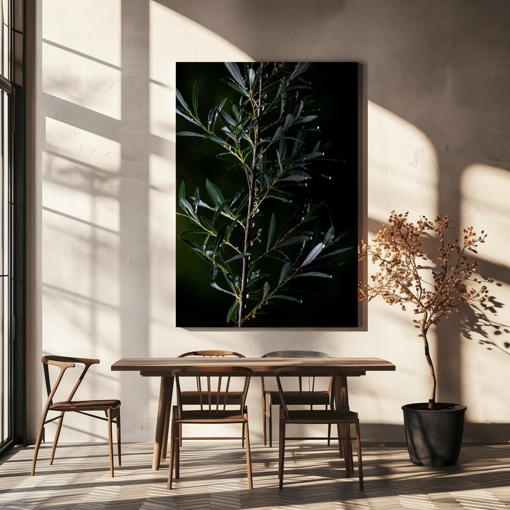 Wintertakken 6 | Canvas