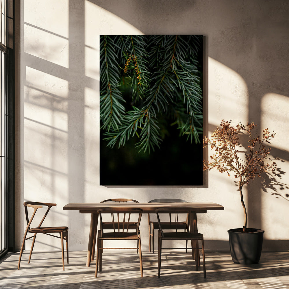 Wintertakken 7 | Canvas