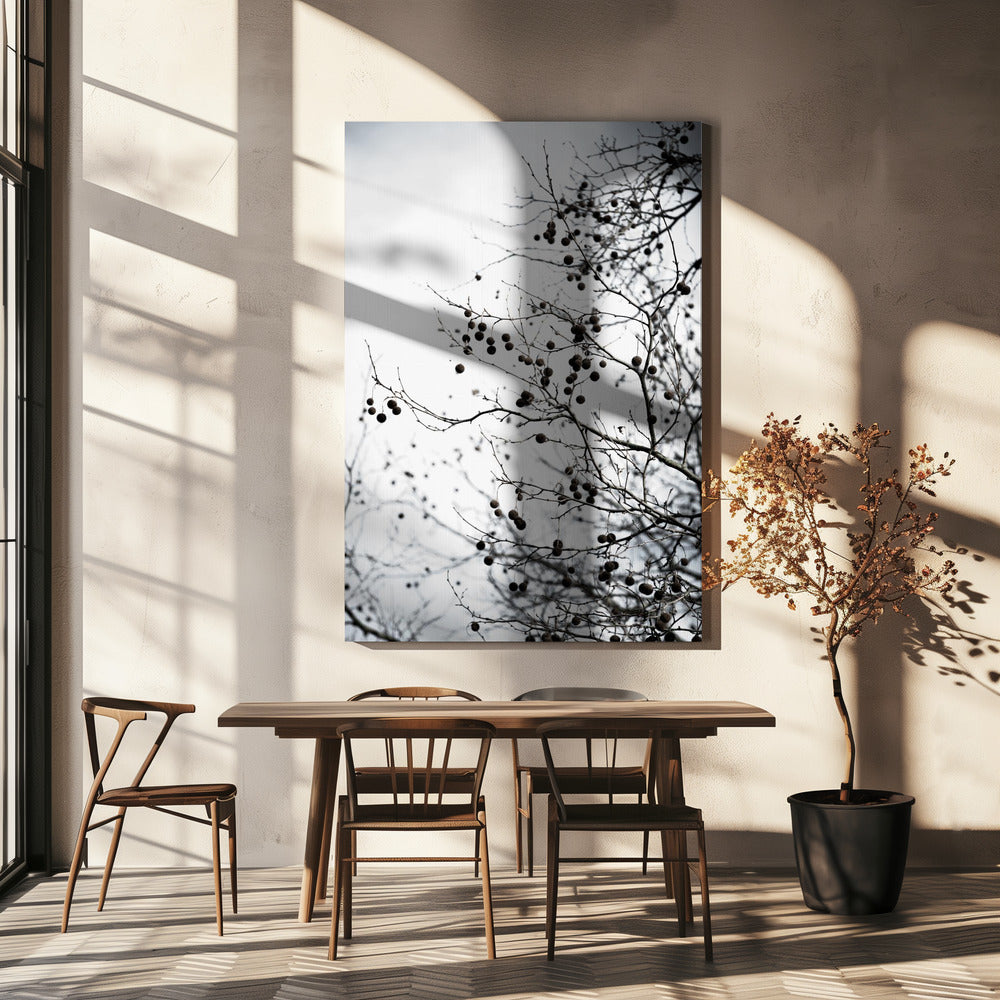Wintersilhouetten 6 | Canvas