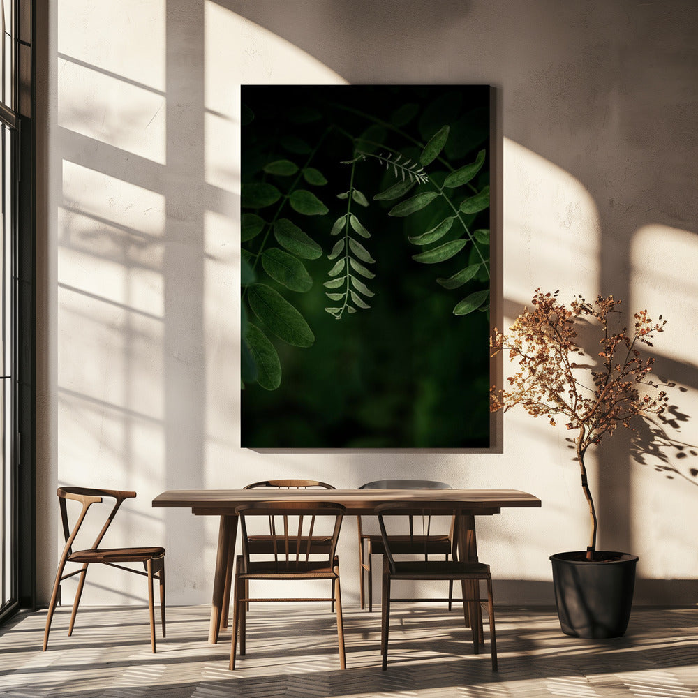 Donkere bladeren 17 | Canvas