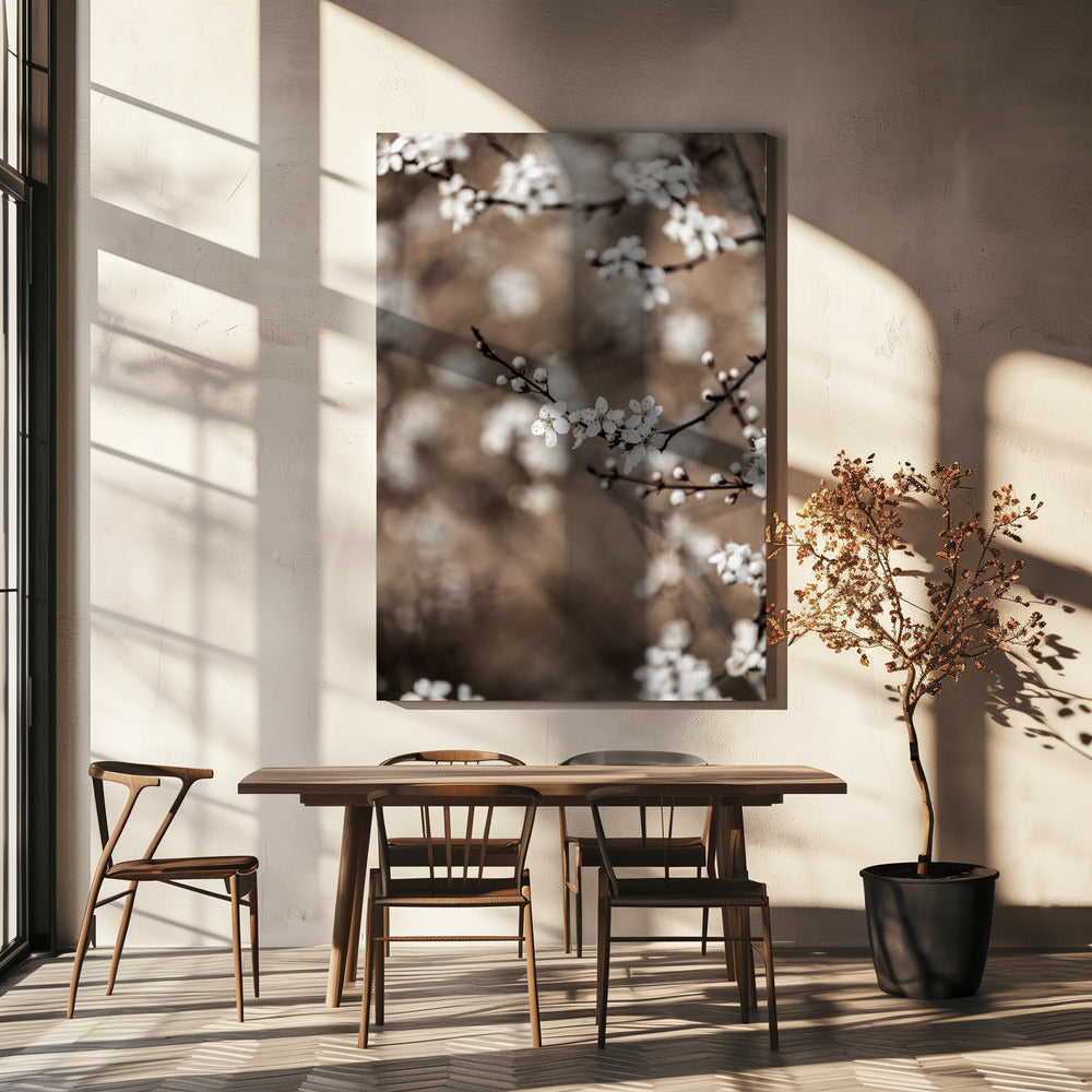 Laatste Lente 1 | Canvas