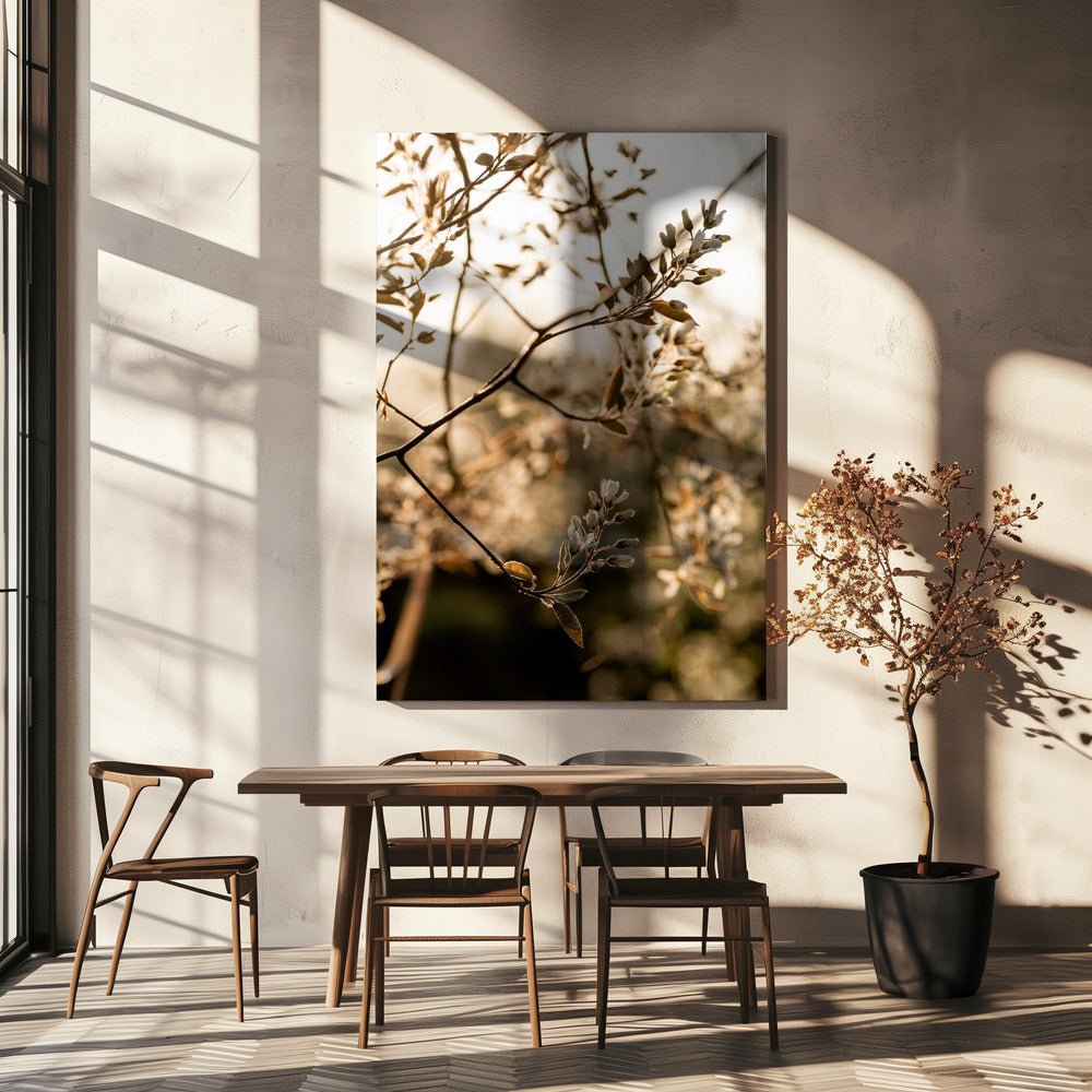 Laatste Lente 4 | Canvas