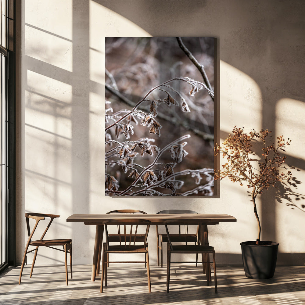 Wintertakken 18 | Canvas