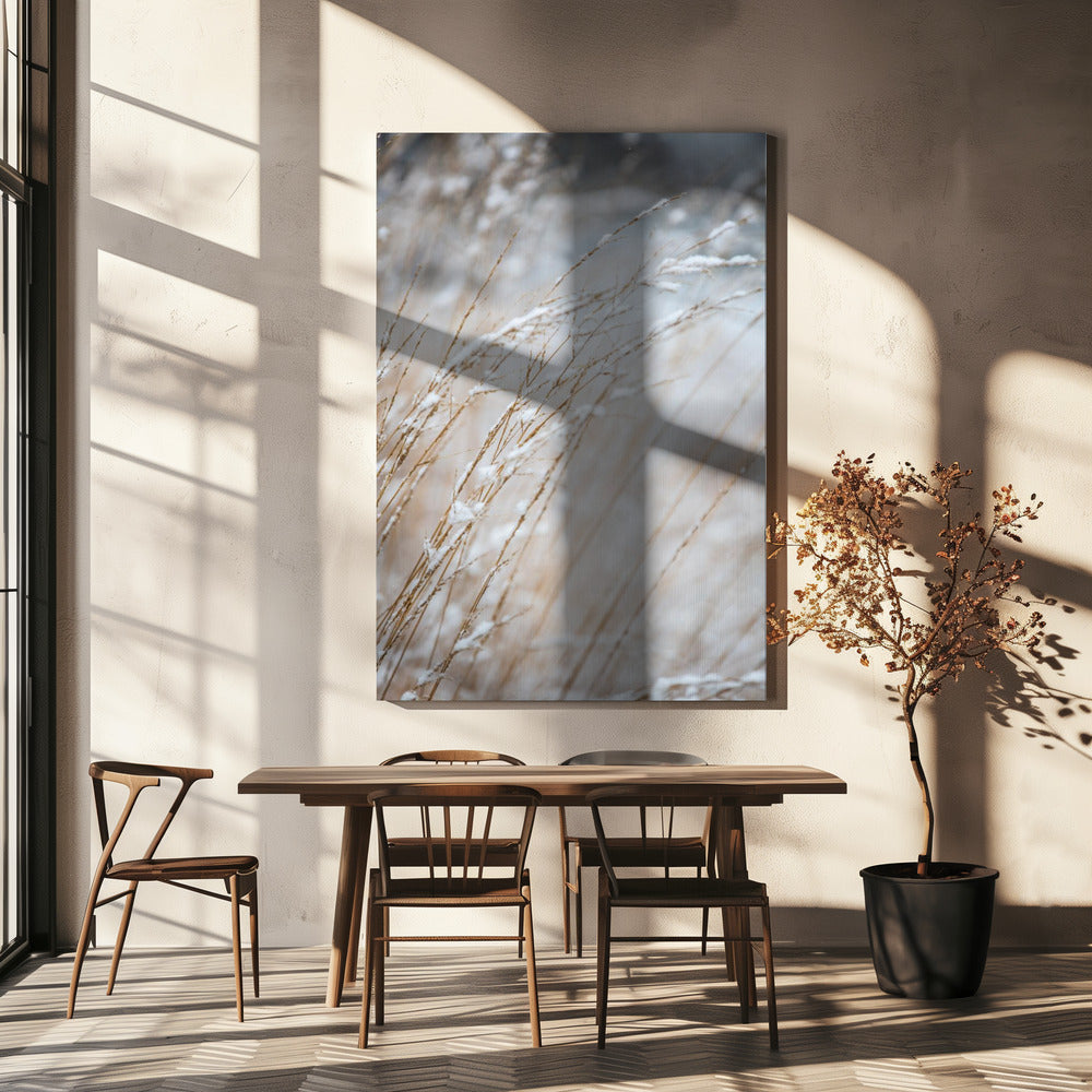 Wintergras | Canvas