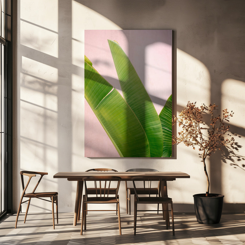 Merida Groen op Roze | Canvas