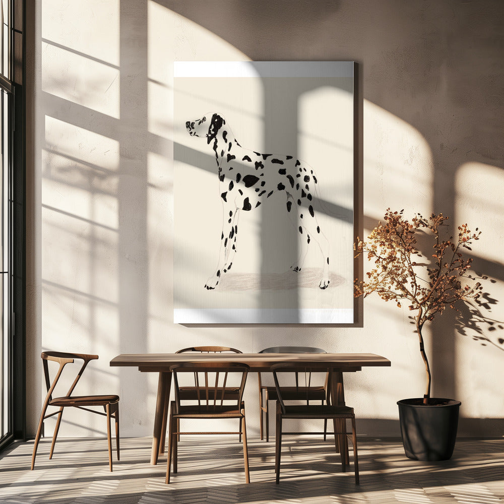 Pandc Dalmatiër | Canvas