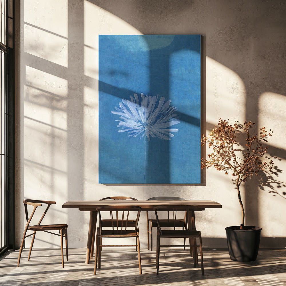 White Flower On Blue Background | Canvas