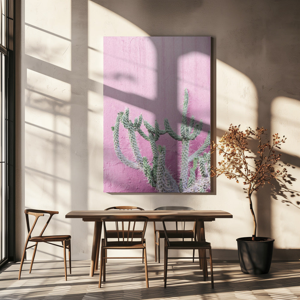 Cactus op roze | Canvas