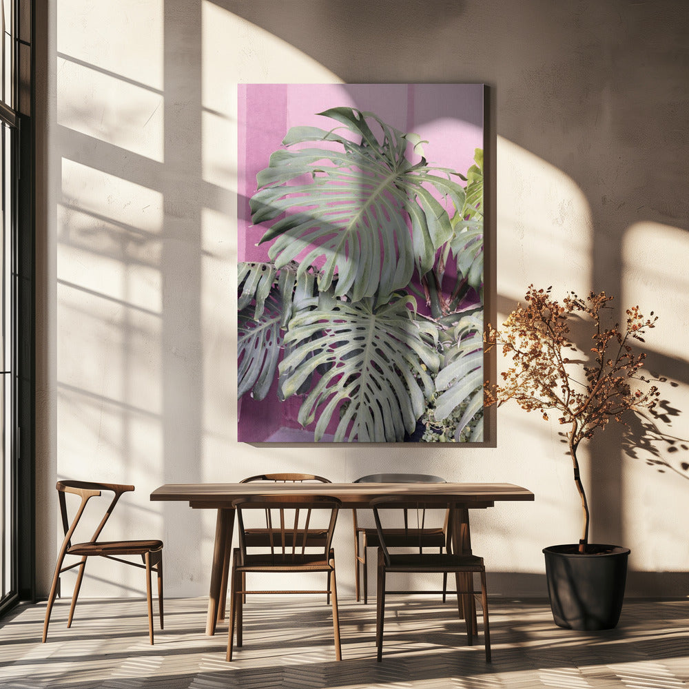 Monsterablad La Muralla | Canvas