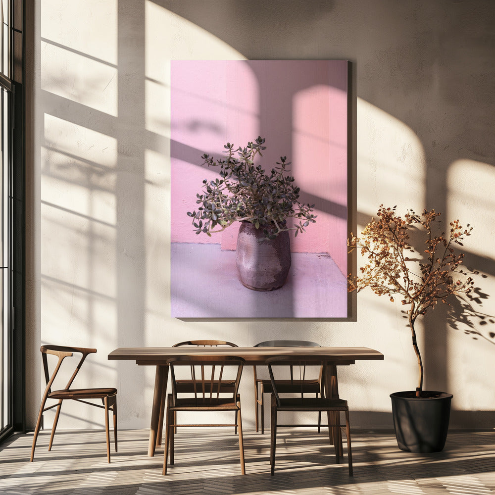 Spaanse rustieke succulent | Canvas