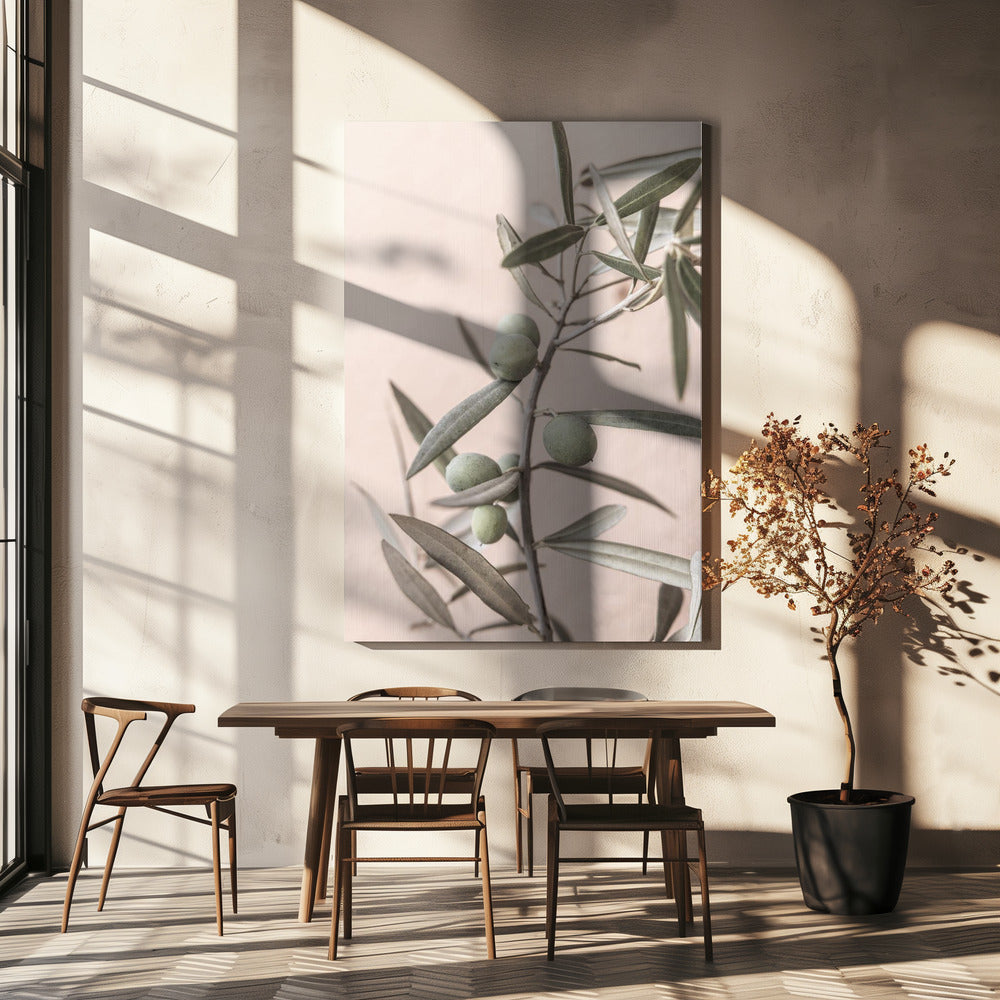 Olijven | Canvas