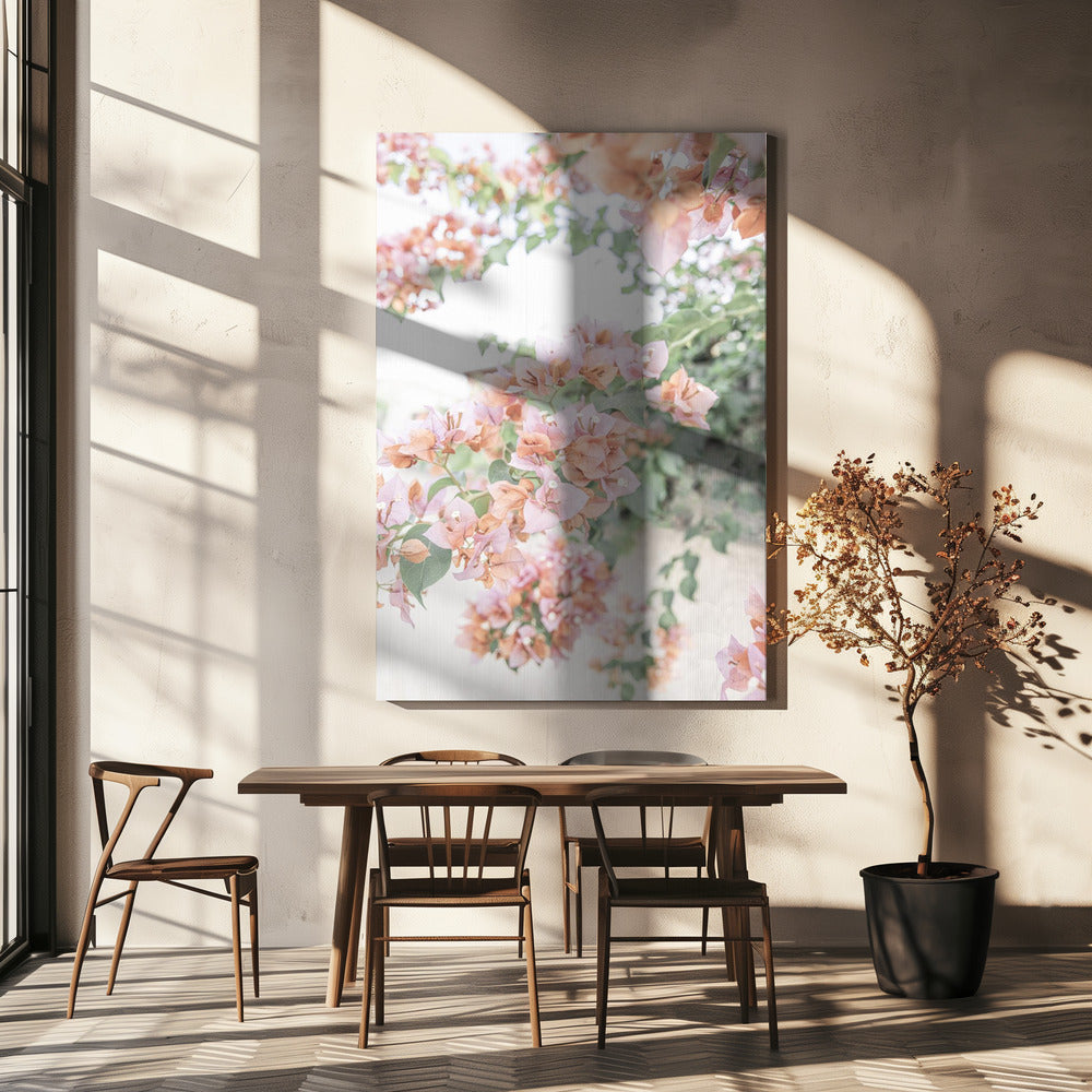 Perzik Bougainvillea | Canvas