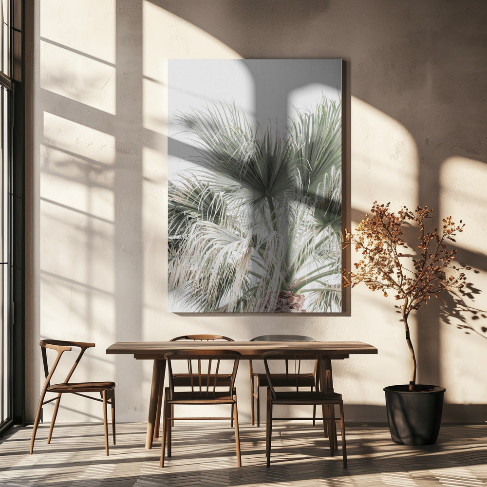 Palmblad | Canvas