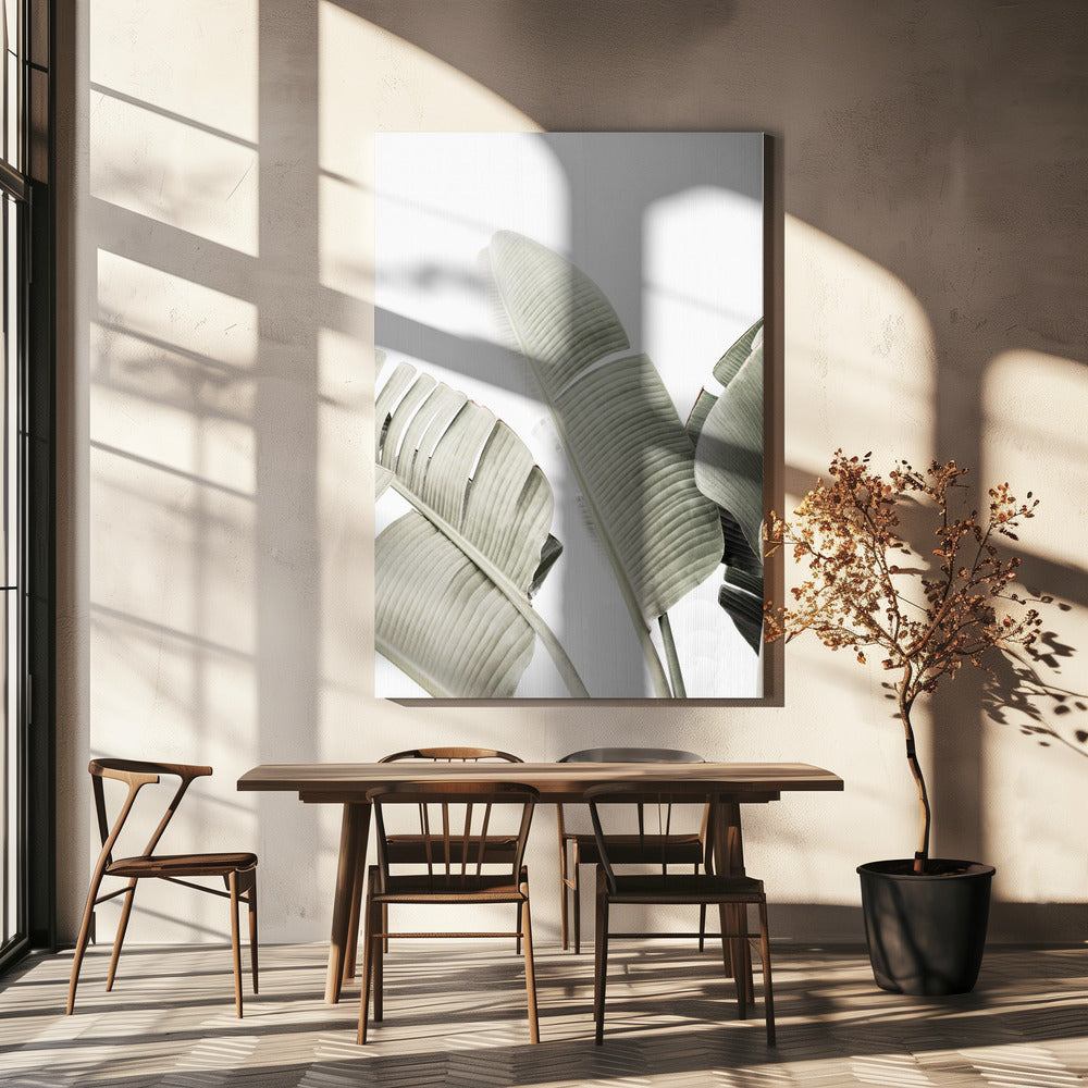 Bananenblad 1 | Canvas