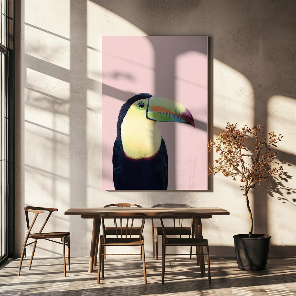 Toekan op roze | Canvas