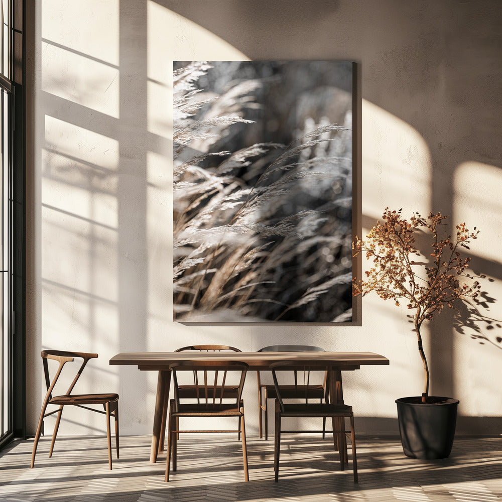 Gras 28 | Canvas