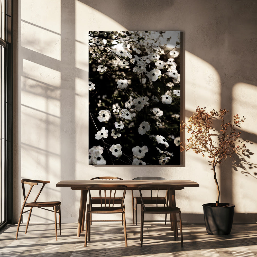 Witte Lenteboom 5 | Canvas