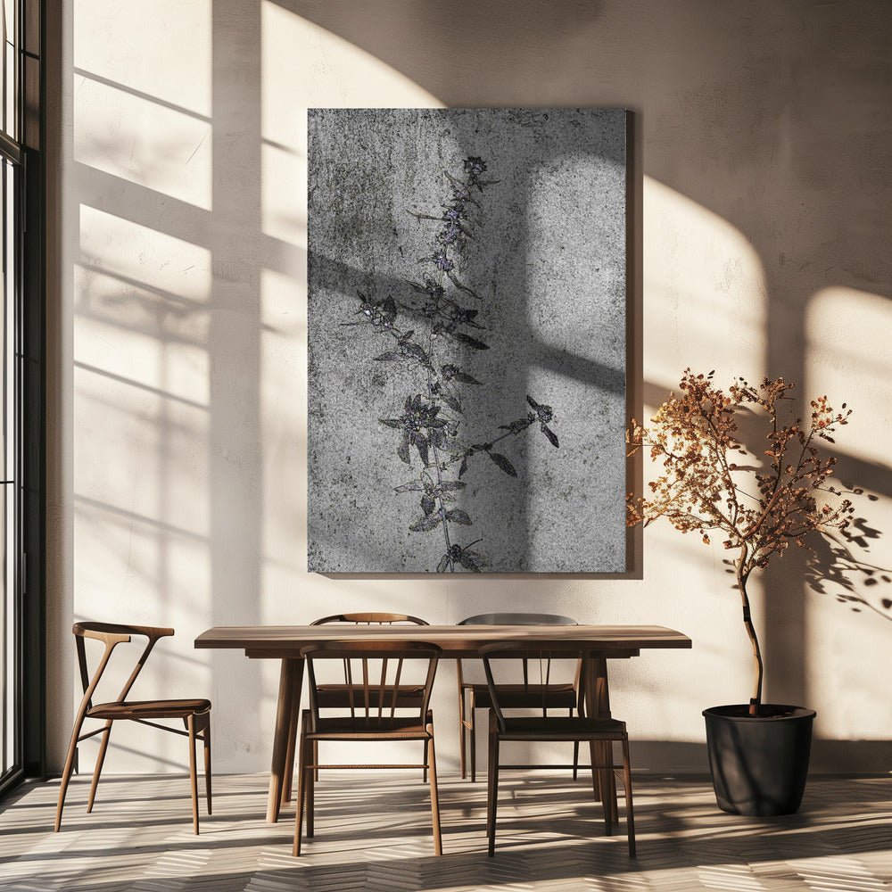 Betonnen bloesems | Canvas