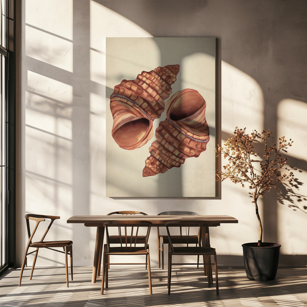 Vintage schelp | Canvas