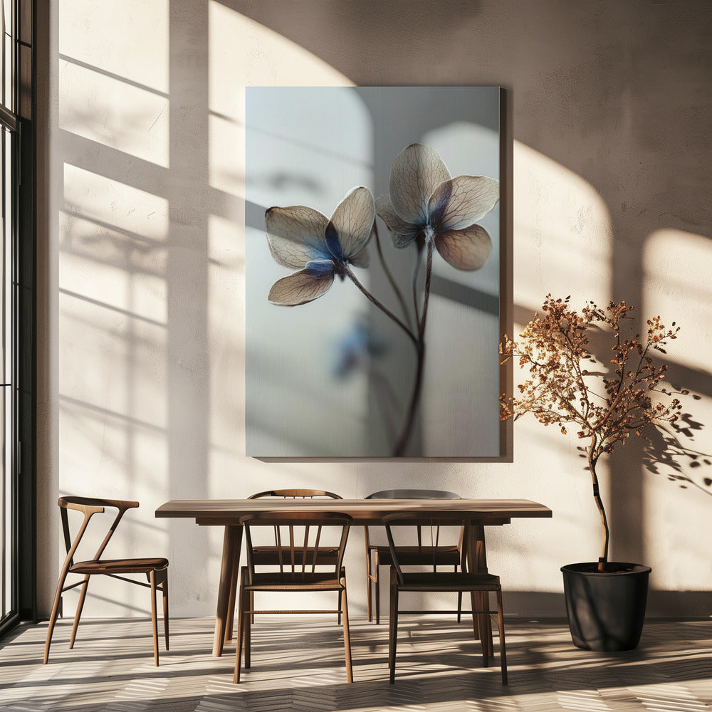 Whispers of Petals | Canvas