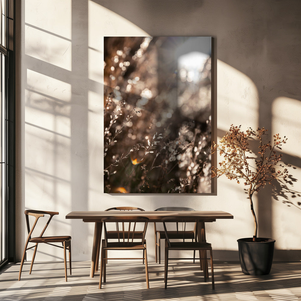 Warm Winterlicht 6 | Canvas