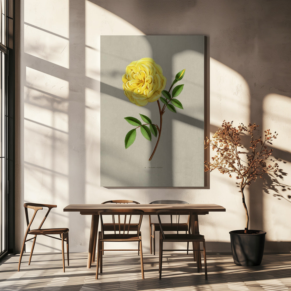 Roos Madame Falcot | Canvas
