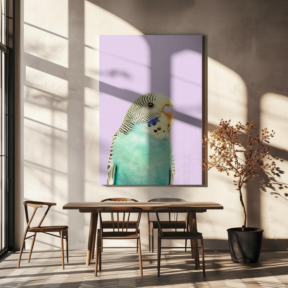 Badgie | Canvas