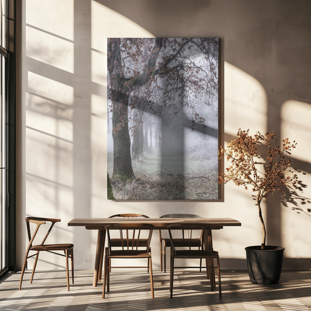 Mistige winterochtend 3 | Canvas