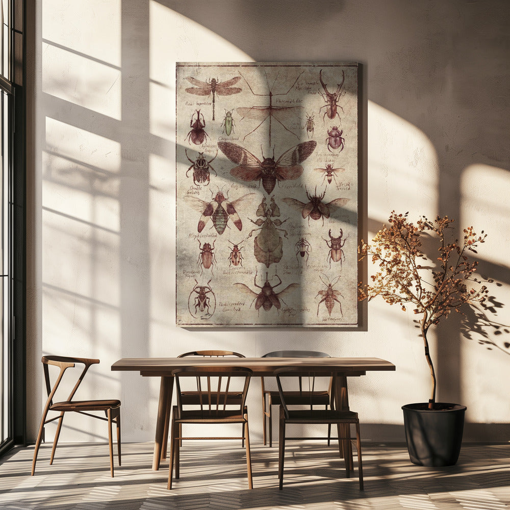 Insecten in vintagestijl | Canvas