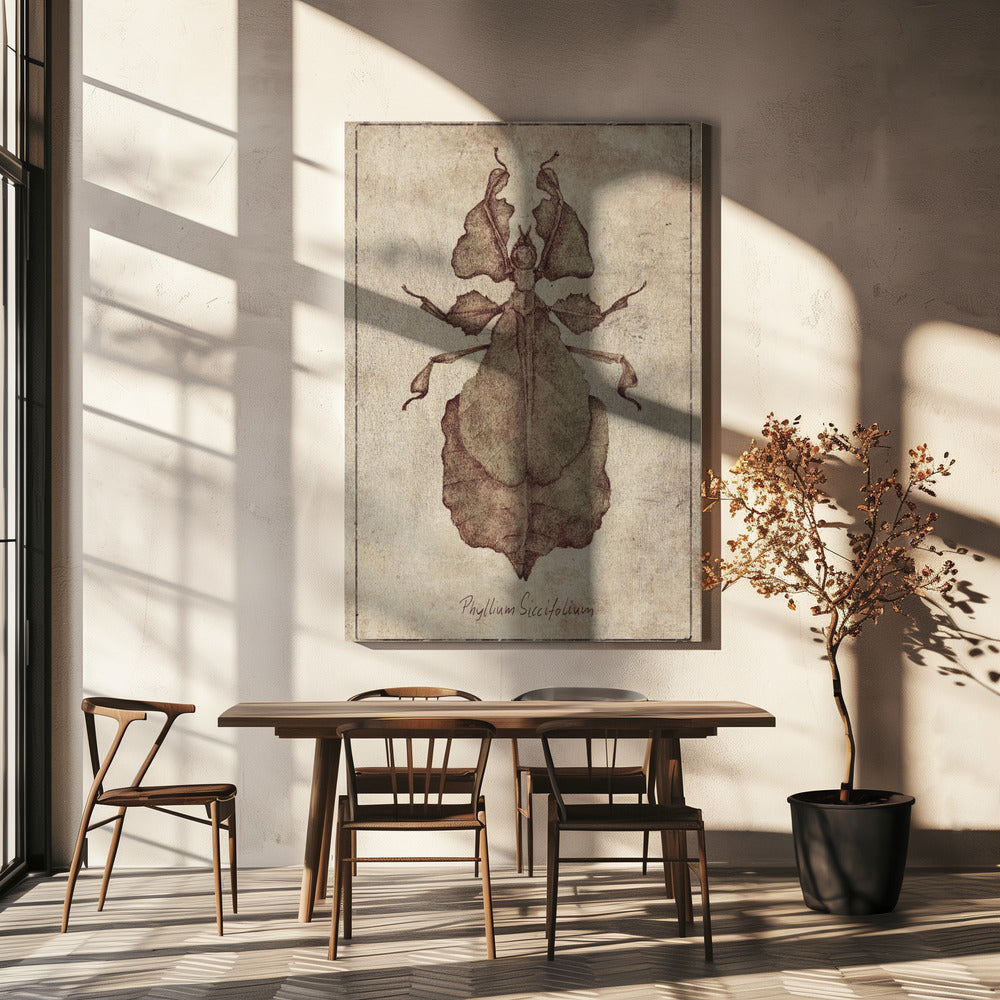 Phyllium Siccifolium Kopie | Canvas
