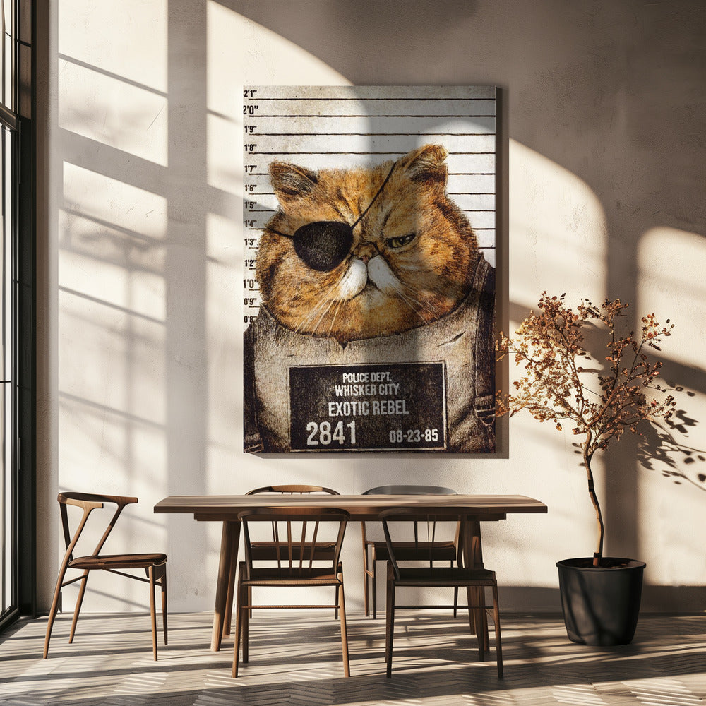 Grappige kat | Canvas