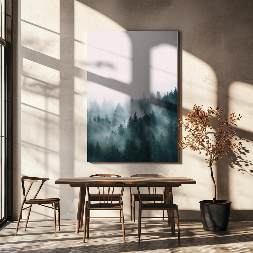 Bos | Canvas