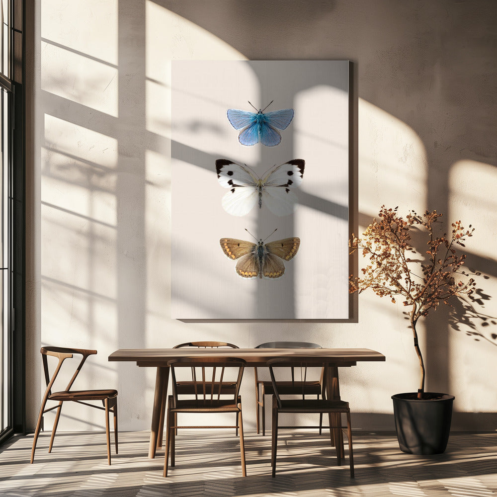 Engelse vlinders 2 | Canvas