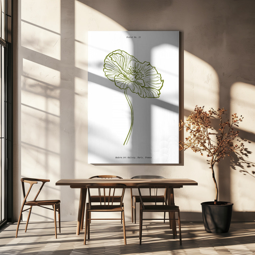 Schets van een bleke klaproos | Canvas